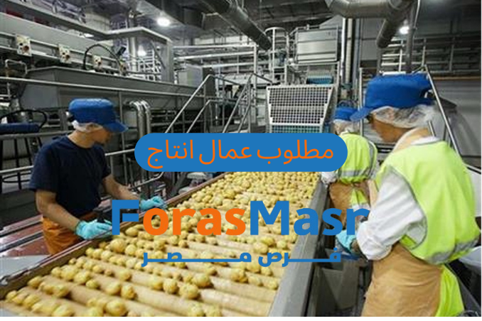 وظائف عمال انتاج في السادس من أكتوبر – فرص مميزة بشركة Shane Foods