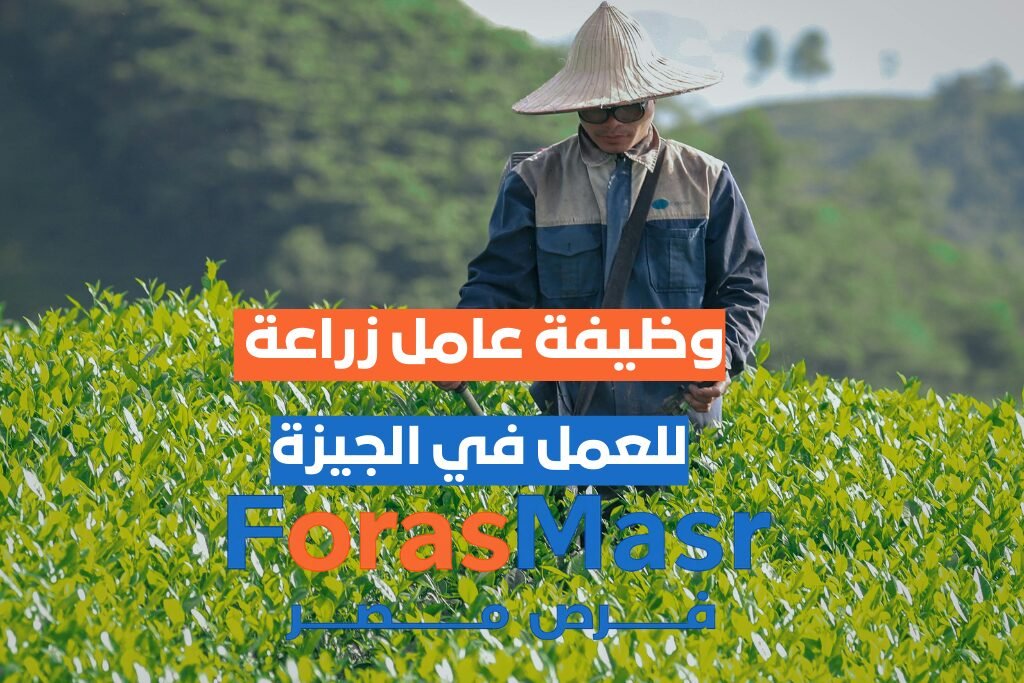 وظيفة عامل زراعة في الوراق الجيزة وظيفة-عامل-زراعة-الوراق-الجيزة