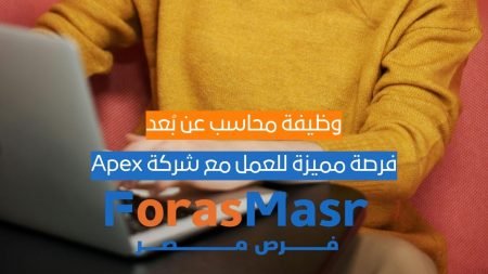 محاسب عن بعد